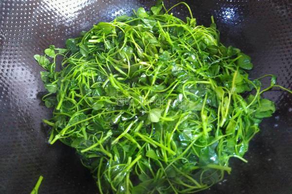 素炒秧草的做法图解3