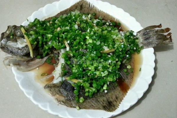 清蒸多宝鱼的做法图解9