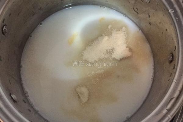 木瓜椰汁冻的做法图解4