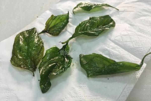 脆香九层塔的做法图解3