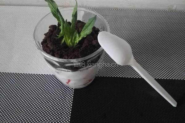 草莓酸奶盆栽的做法图解8