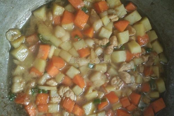 土豆胡萝卜肉闷饭的做法图解4