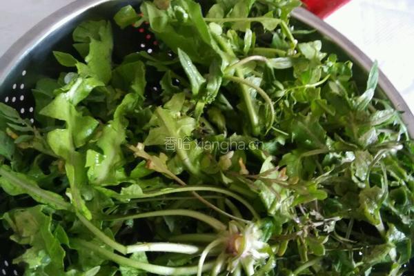 绿色荠菜饺子的做法图解1