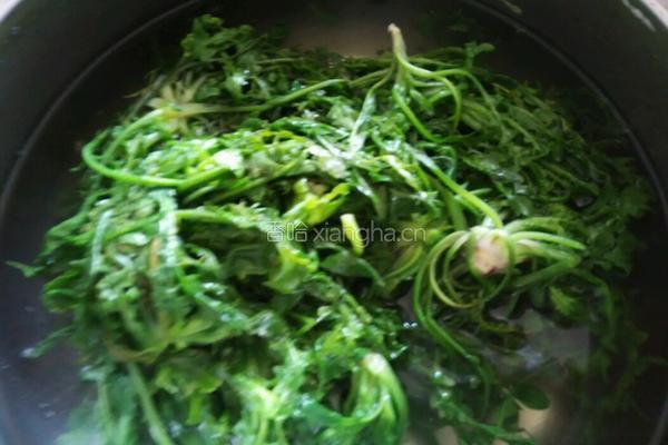 绿色荠菜饺子的做法图解2