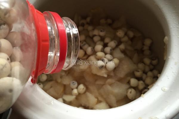 银耳莲子羹的做法图解6
