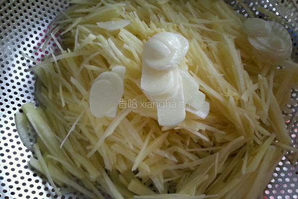 炒土豆丝的做法图解2