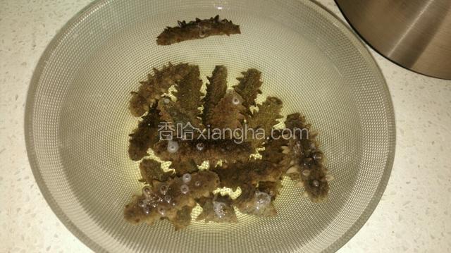 1.先用温水（温度不要太高）或冷水泡一天半到两天（记得随时换水，不要让海参发粘，可以早上起床时，中午下班后，下午下班后，晚上睡觉前各换一次水）后，海参会变软变大。