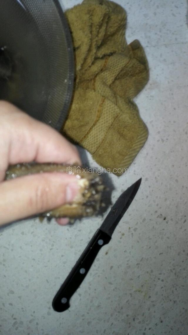 将煮好的海参捞出冷却，顺切口（海参上有个小口子）方向剪开，剪到头部和尾部，去掉头部的沙嘴（头部里面白色的东西），将海参洗净（简单冲一下既可）。