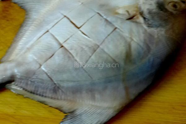 清蒸白鱼的做法图解2