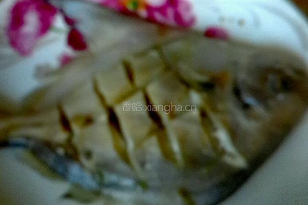 清蒸白鱼的做法图解5