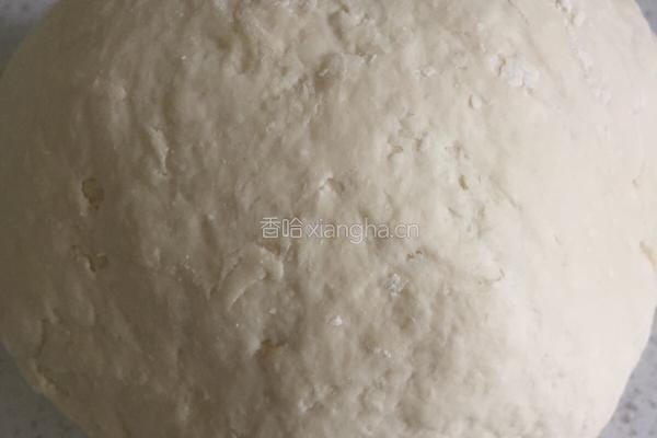 菜鸟如何用酵母发面团的做法图解5