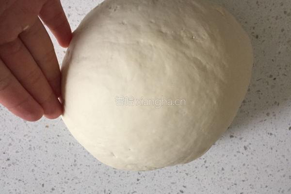 菜鸟如何用酵母发面团的做法图解6