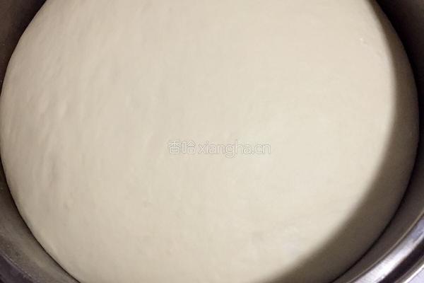 菜鸟如何用酵母发面团的做法图解9