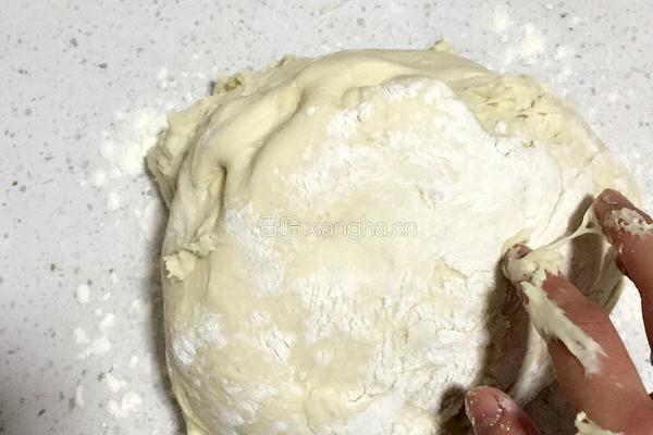 菜鸟如何用酵母发面团的做法图解11