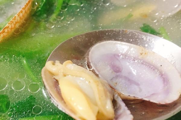 花甲青瓜汤的做法图解7