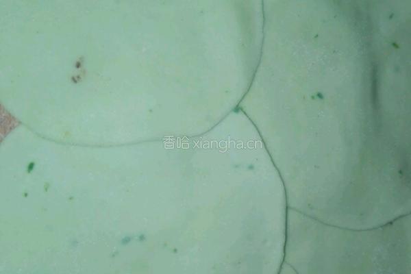 酸汤水饺的做法图解4