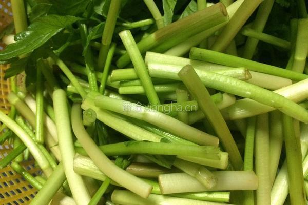 野芹炒腊肉的做法图解2
