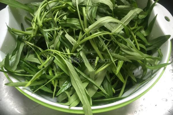 蒜末空心菜的做法图解1