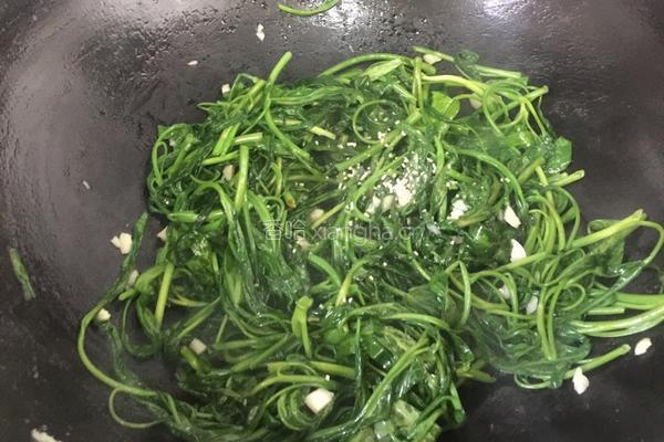 蒜末空心菜的做法图解6