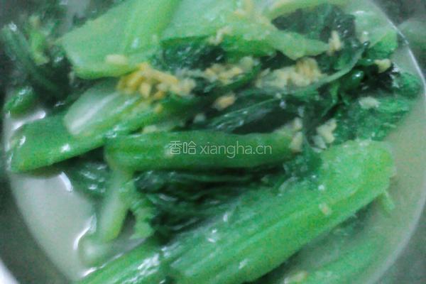 姜汁芥菜的做法图解4