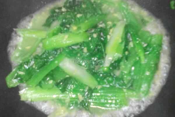 姜汁芥菜的做法图解3