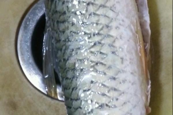 手工魚丸的做法图解1