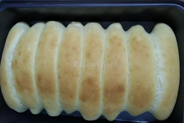 真果粒奶排包的做法图解11
