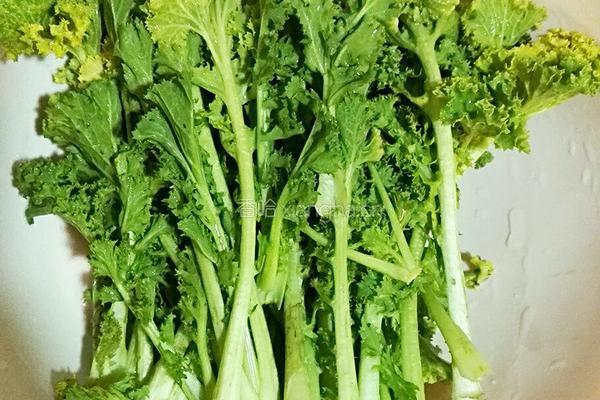 素炒苔菜的做法图解1