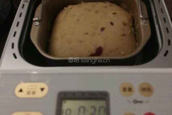 高纤十谷米蔓越莓土司的做法图解7