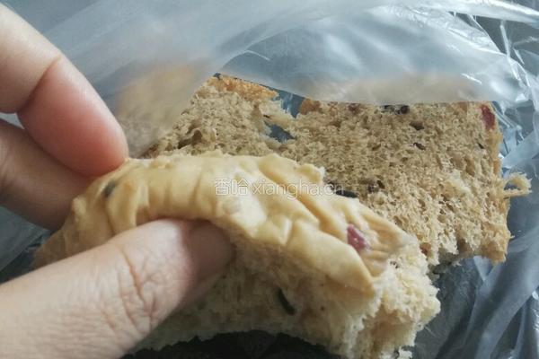 高纤十谷米蔓越莓土司的做法图解10