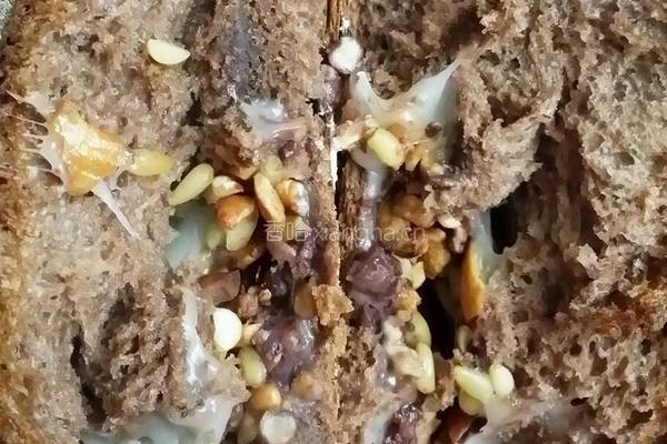 可可麻薯软欧的做法图解18