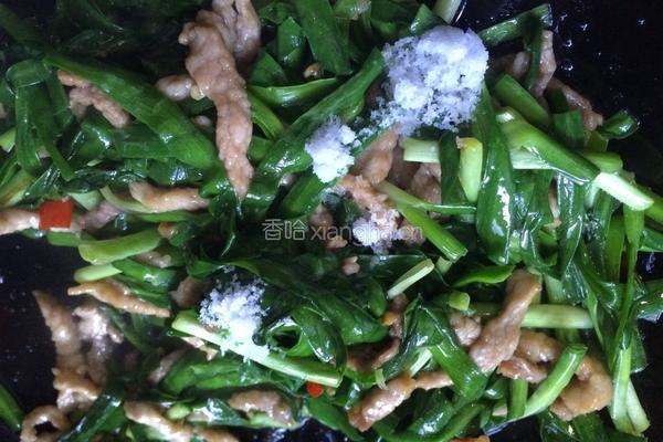 韭菜炒肉的做法图解10