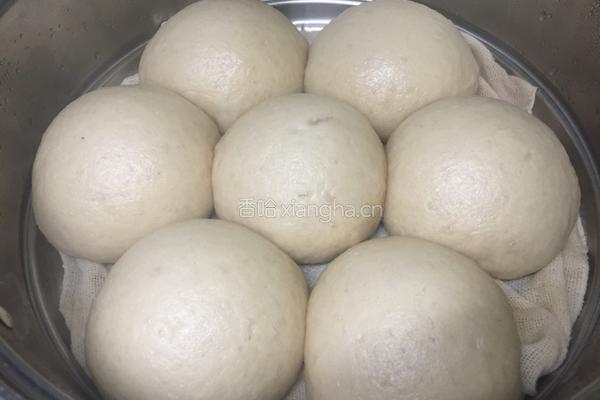 手工全麦馒头的做法图解13