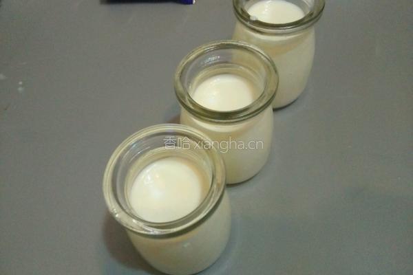 自制酸奶的做法图解9