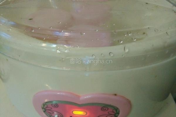 自制酸奶的做法图解11