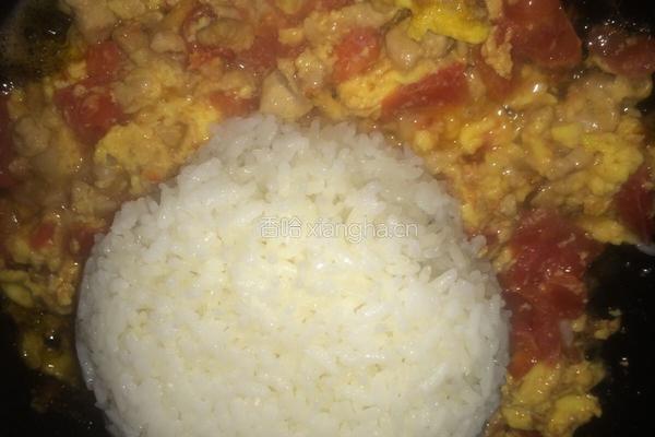 西红柿鸡蛋炒饭的做法图解9