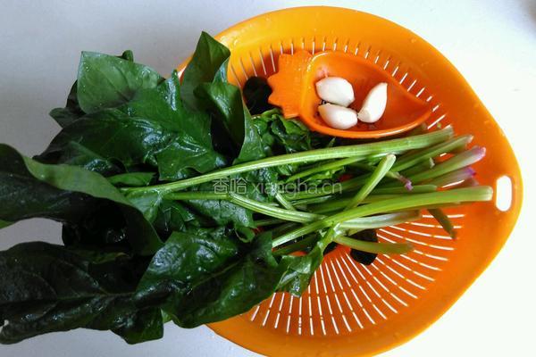 蒜末菠菜的做法图解1
