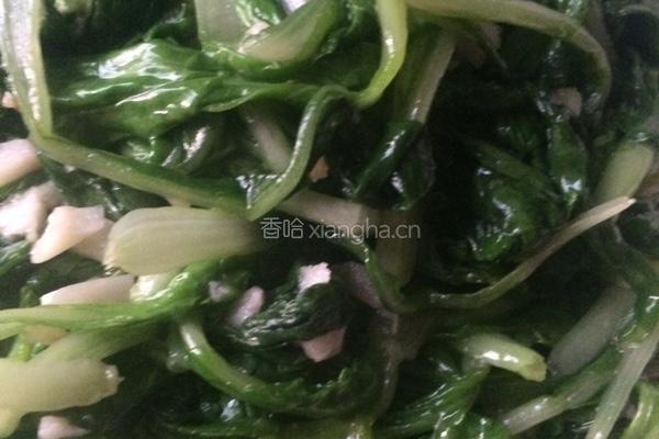 蒜泥小白菜的做法图解3