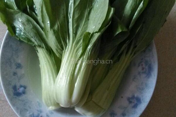青菜焖饭的做法图解1
