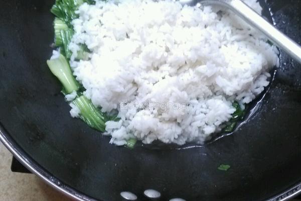 青菜焖饭的做法图解5