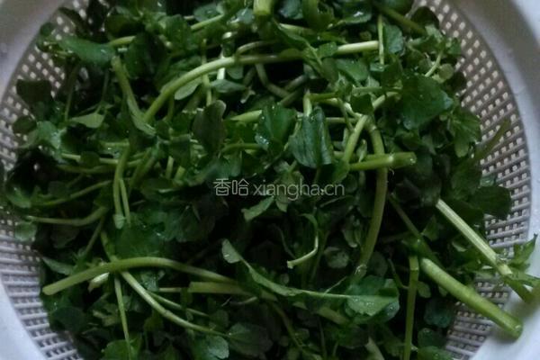 西洋菜肉末汤的做法图解1