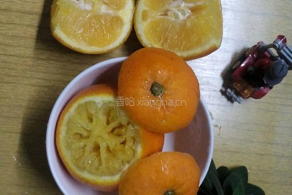 蒸橙子之止咳小妙方的做法图解5