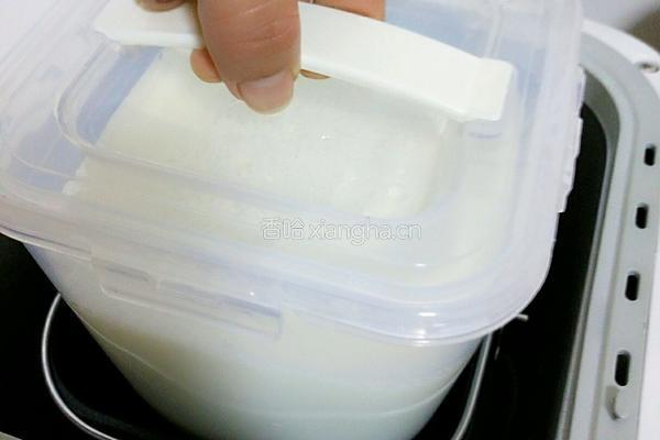 自制酸奶的做法图解6