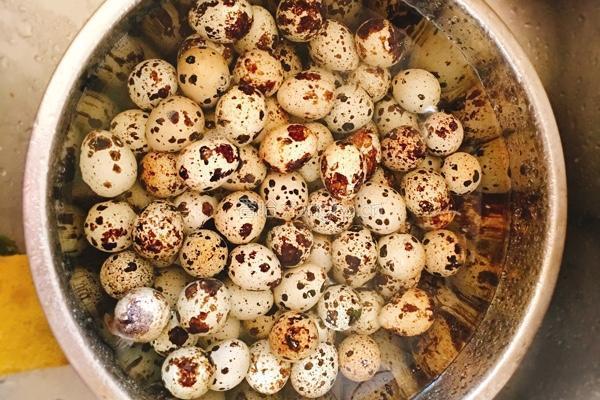 红烧肉烩鹌鹑蛋的做法图解1