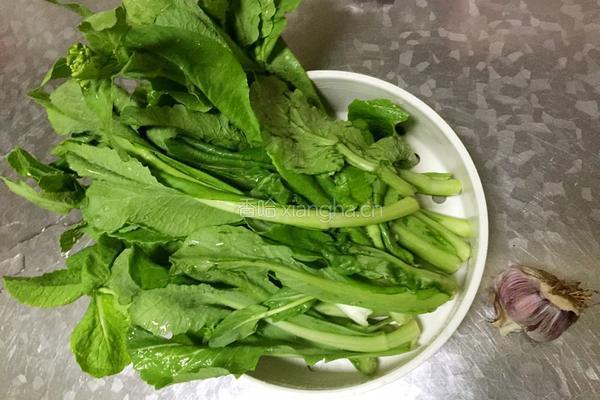 蒜蓉菜心的做法图解1