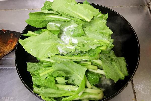 蒜蓉菜心的做法图解4