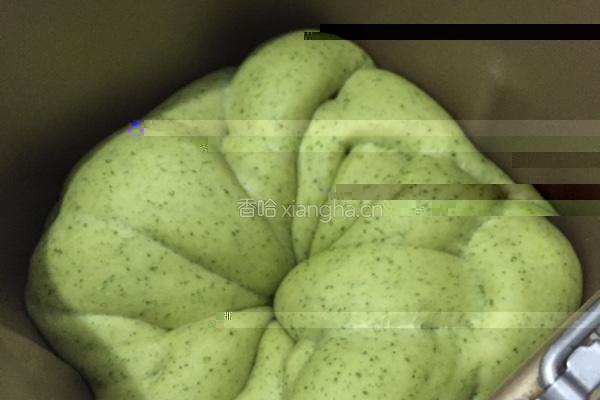 春意盎然的菠菜面包的做法图解11