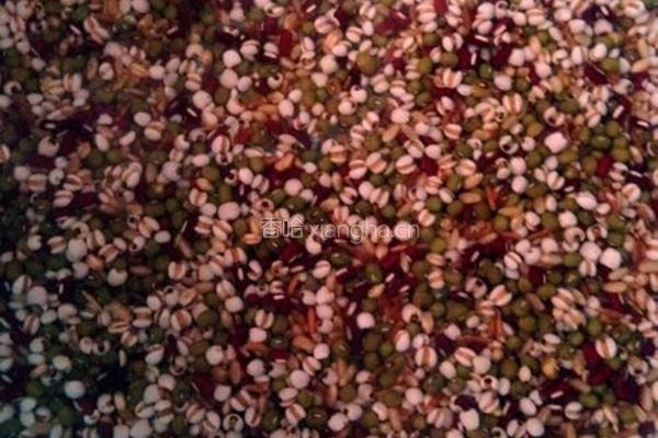 祛湿绿豆薏米糖水的做法图解2