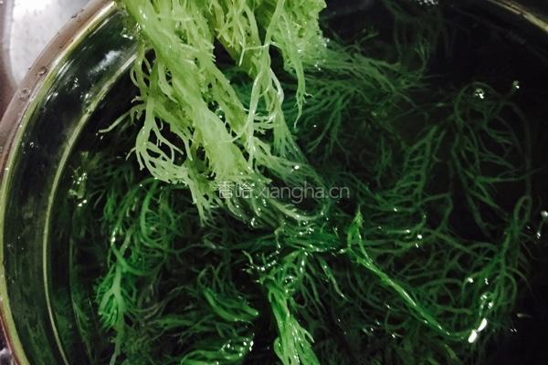 凉拌海藻的做法图解1