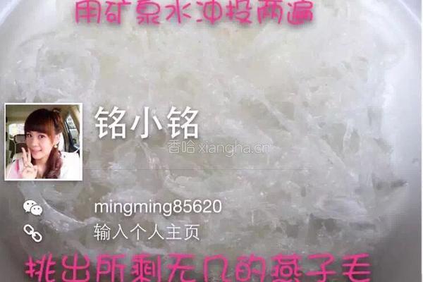 木瓜红枣燕窝羹的做法图解6